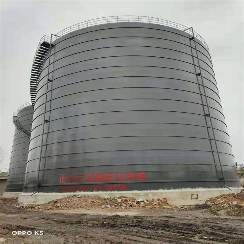 东丰3万吨大型钢板库