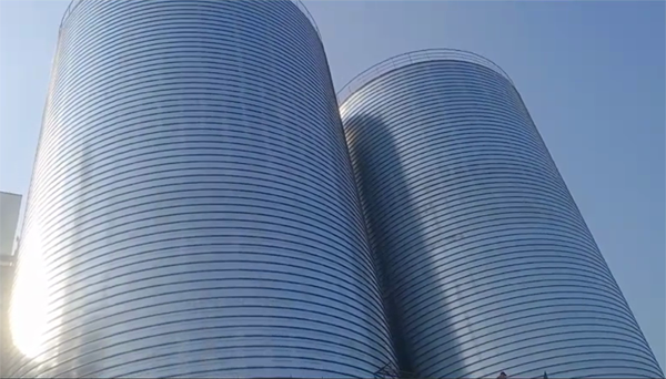 东丰2座混凝土高架卷板仓